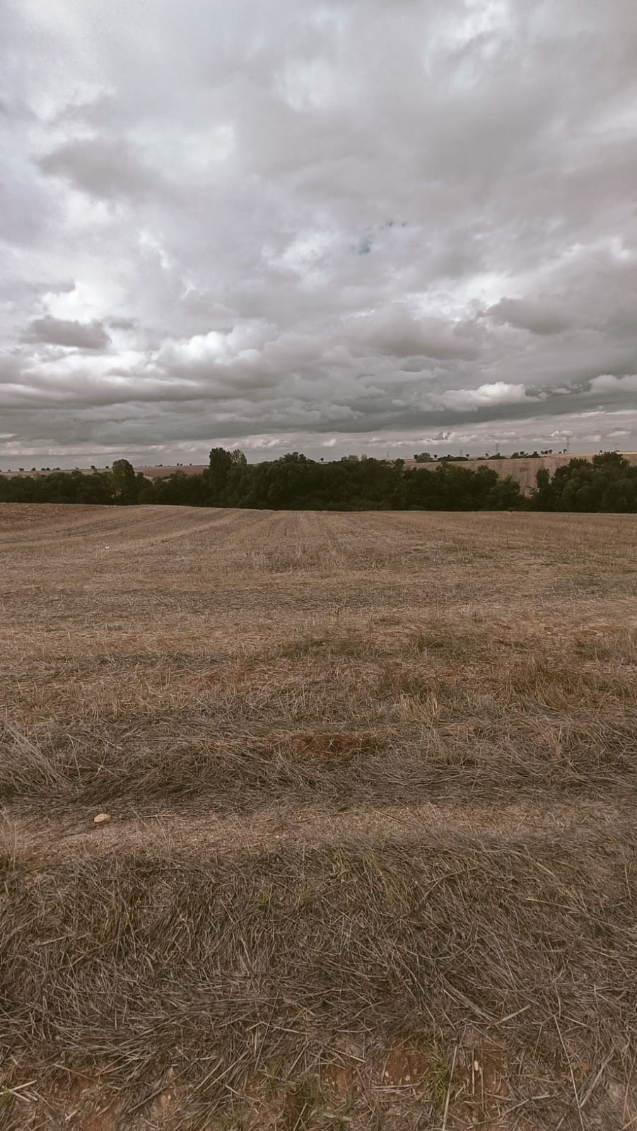 LÜLEBURGAZ EMİRALİ FIRSAT YATIRIM 300 M2 PARSELLER HEMEN TAPU