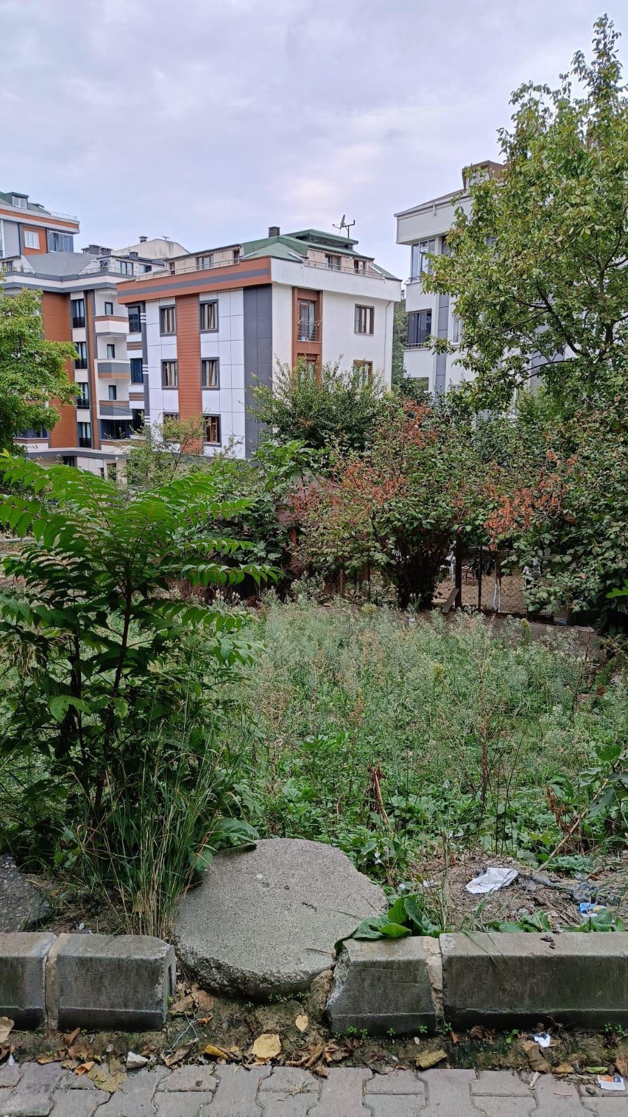 ARNAVUTKÖY TAŞOLUK KÖY İÇİ ARSA